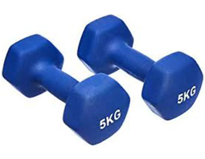 Гантель 5 кг винил SPORT GYM DM5V