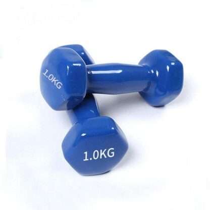 Гантель 1 кг винил Sport Gym DM1V