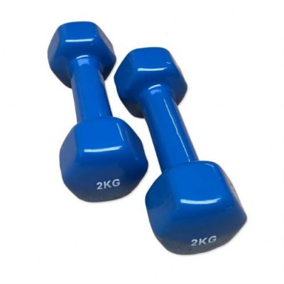 Гантель 2 кг винил SPORT GYM DM2V